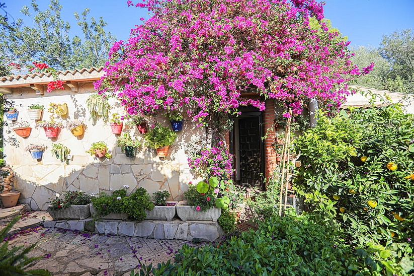 Шале с садом и двумя домиками для аренды в Esporles