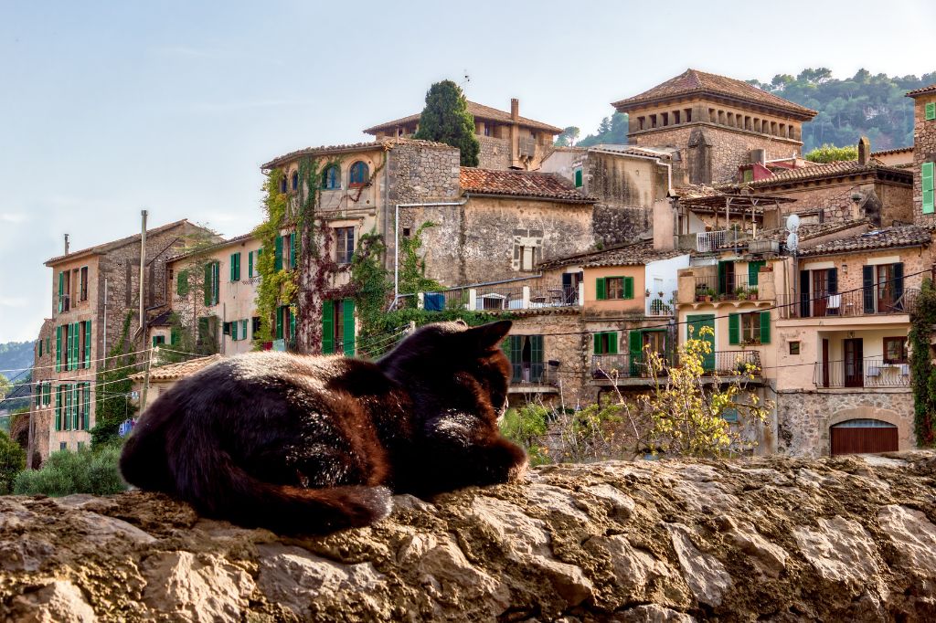 кот греется на солнце лежа на стене древнего города в Вальдемосе